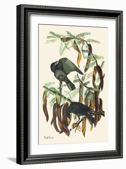 Fish Crow-John James Audubon-Framed Art Print