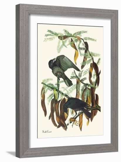 Fish Crow-John James Audubon-Framed Art Print