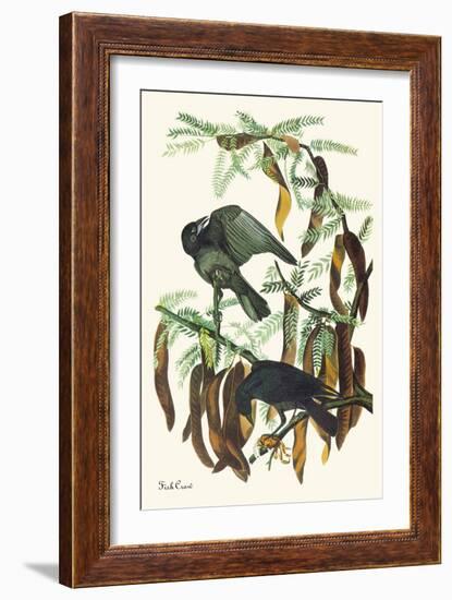 Fish Crow-John James Audubon-Framed Art Print