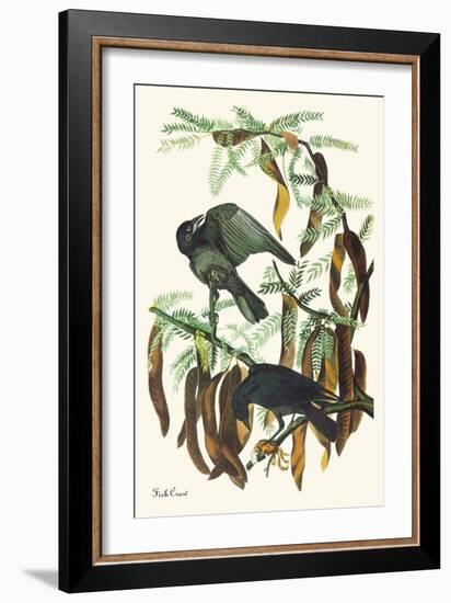 Fish Crow-John James Audubon-Framed Art Print