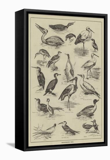 Fish-Destroying Birds-null-Framed Premier Image Canvas