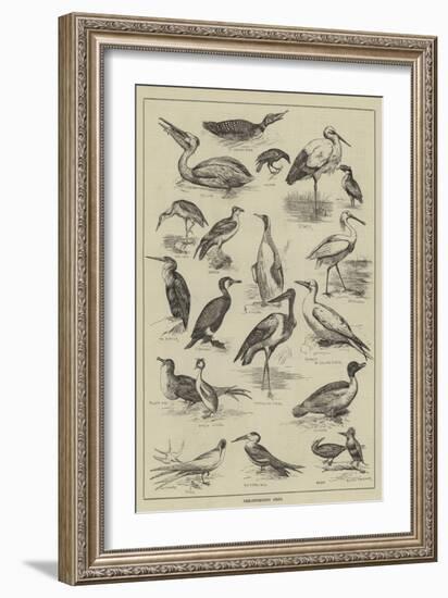 Fish-Destroying Birds-null-Framed Giclee Print