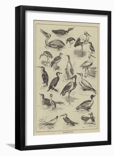 Fish-Destroying Birds-null-Framed Giclee Print