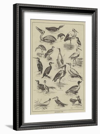 Fish-Destroying Birds-null-Framed Giclee Print