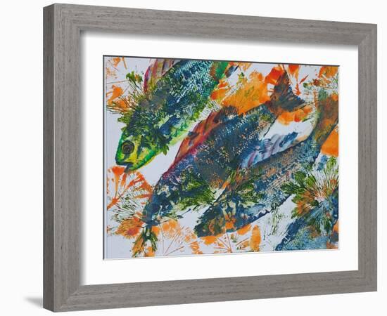 fish diving-jocasta shakespeare-Framed Giclee Print