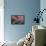 Fish Drawing,-Eileen Agar-Framed Premier Image Canvas displayed on a wall