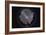 Fish-Eye Panorama of the Southern Night Sky in Australia-Stocktrek Images-Framed Photographic Print