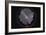 Fish-Eye Panorama of the Southern Night Sky in Australia-Stocktrek Images-Framed Photographic Print