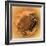 Fish-Eye View of Titan's Surface-Stocktrek Images-Framed Photographic Print