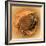 Fish-Eye View of Titan's Surface-Stocktrek Images-Framed Photographic Print