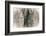 Fish Eye-Valda Bailey-Framed Photographic Print