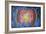 Fish Eye-Martin Nasim-Framed Giclee Print