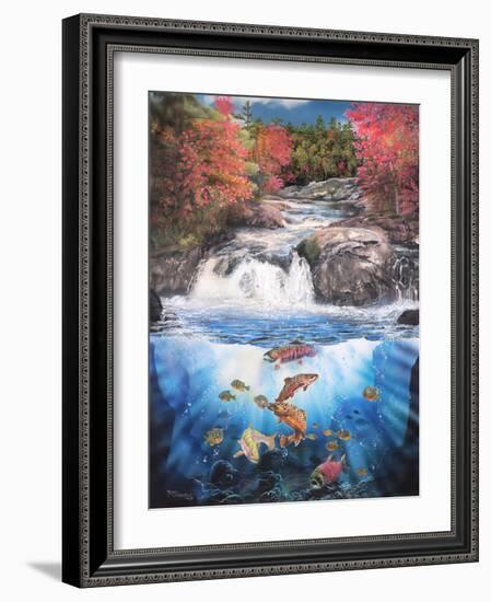 Fish Falls-Murray Henderson-Framed Photographic Print