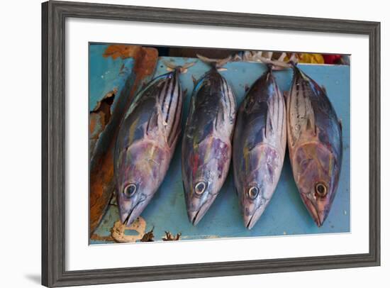 Fish for Sale at the Market Hall in Honiara, Capital of the Solomon Islands, Pacific-Michael Runkel-Framed Photographic Print