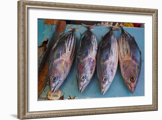 Fish for Sale at the Market Hall in Honiara, Capital of the Solomon Islands, Pacific-Michael Runkel-Framed Photographic Print