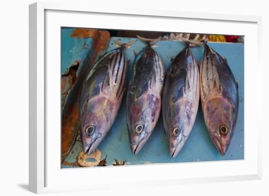 Fish for Sale at the Market Hall in Honiara, Capital of the Solomon Islands, Pacific-Michael Runkel-Framed Photographic Print