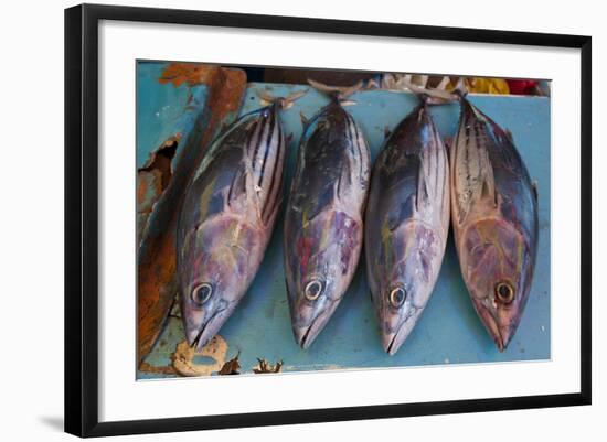 Fish for Sale at the Market Hall in Honiara, Capital of the Solomon Islands, Pacific-Michael Runkel-Framed Photographic Print