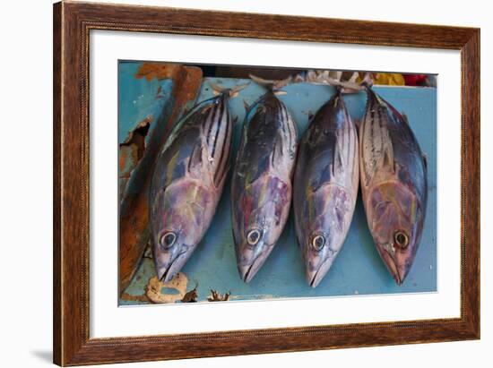 Fish for Sale at the Market Hall in Honiara, Capital of the Solomon Islands, Pacific-Michael Runkel-Framed Photographic Print