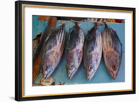 Fish for Sale at the Market Hall in Honiara, Capital of the Solomon Islands, Pacific-Michael Runkel-Framed Photographic Print