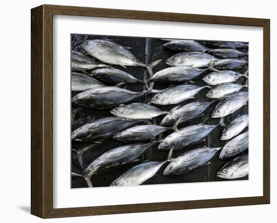 Fish for Sale in Open-Air Market Along Sea Street, Galle, Southern Province, Sri Lanka-null-Framed Photographic Print
