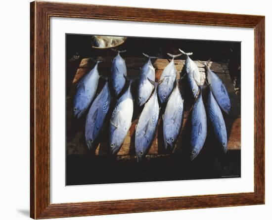 Fish for Sale in the Market at Hoi an on the Thu Bon River South of Danang, Vietnam, Asia-Robert Francis-Framed Photographic Print
