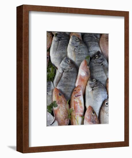 Fish for Sale in the Souk, Essaouira, Morocco, North Africa, Africa-Martin Child-Framed Photographic Print