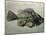 Fish Fossil, Wyoming, USA-Kevin Schafer-Mounted Photographic Print