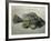 Fish Fossil, Wyoming, USA-Kevin Schafer-Framed Photographic Print