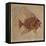 Fish (Fossil)-null-Framed Premier Image Canvas