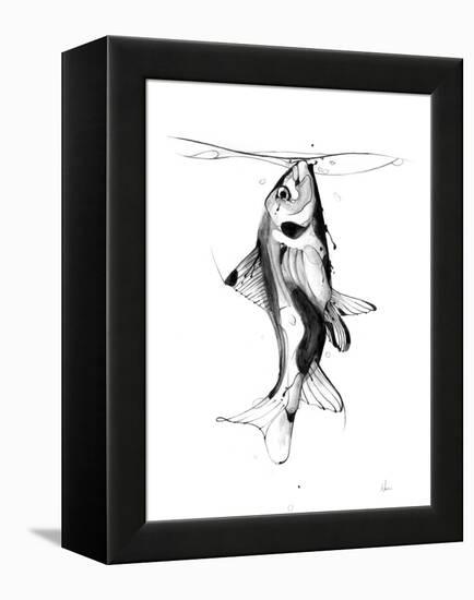 Fish Fuel-Alexis Marcou-Framed Stretched Canvas