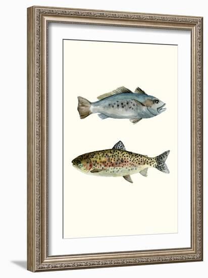 Fish Grouping 1-Natasha Marie-Framed Giclee Print