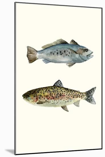 Fish Grouping 1-Natasha Marie-Mounted Giclee Print