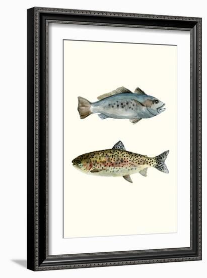 Fish Grouping 1-Natasha Marie-Framed Giclee Print