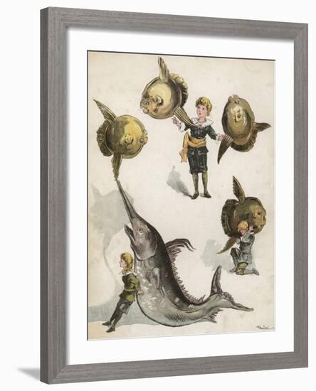 Fish Gymnastics-Richard Andre-Framed Giclee Print