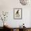Fish Hawk or Osprey-John James Audubon-Framed Giclee Print displayed on a wall