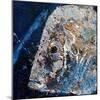 Fish Head 2020 Oils-jocasta shakespeare-Mounted Giclee Print