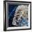 Fish Head 2020 Oils-jocasta shakespeare-Framed Giclee Print