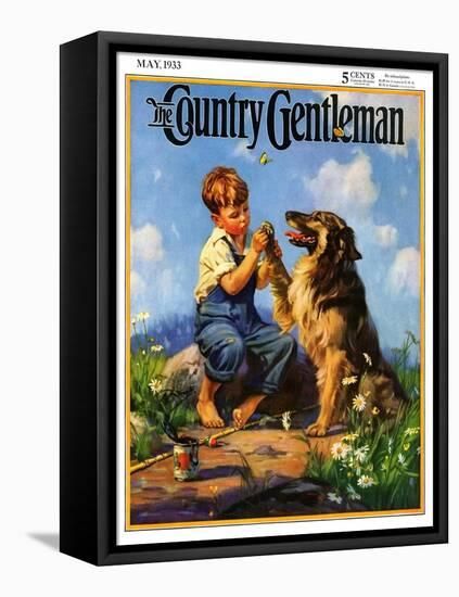 "Fish Hook in Dog's Paw," Country Gentleman Cover, May 1, 1933-Henry Hintermeister-Framed Premier Image Canvas