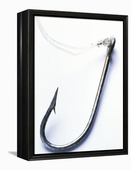 Fish Hook-Mauro Fermariello-Framed Premier Image Canvas