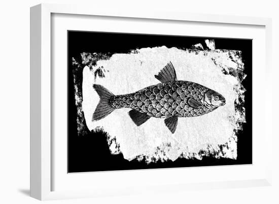 Fish I-Sarah Adams-Framed Art Print