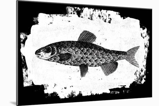Fish II-Sarah Adams-Mounted Art Print