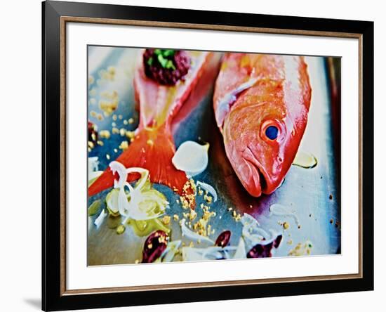 Fish III-Peter Morneau-Framed Art Print