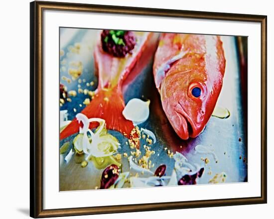 Fish III-Peter Morneau-Framed Art Print