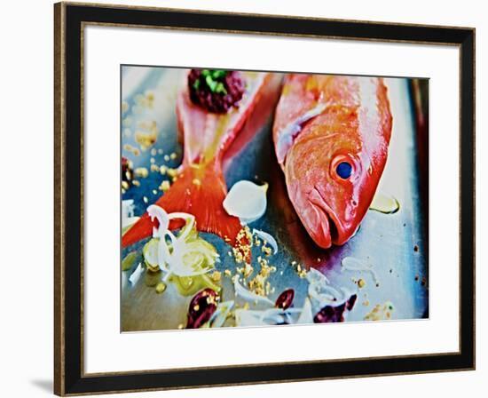 Fish III-Peter Morneau-Framed Art Print