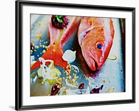 Fish III-Peter Morneau-Framed Art Print