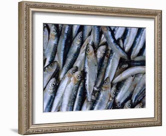 Fish in Fish Market, Istanbul, Turkey, Europe-Lee Frost-Framed Photographic Print