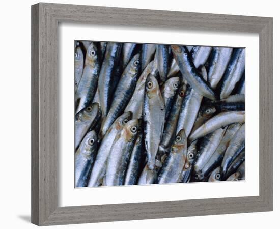 Fish in Fish Market, Istanbul, Turkey, Europe-Lee Frost-Framed Photographic Print