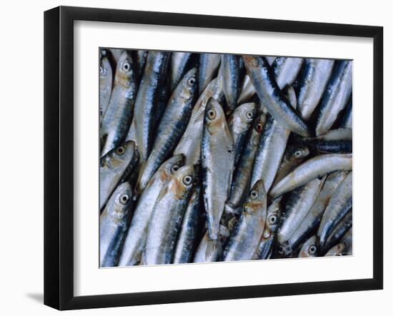 Fish in Fish Market, Istanbul, Turkey, Europe-Lee Frost-Framed Photographic Print