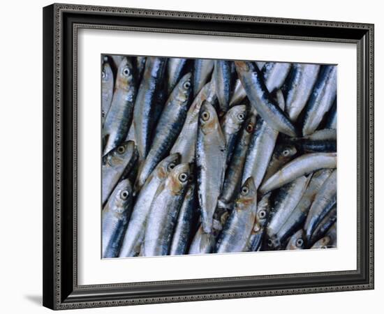 Fish in Fish Market, Istanbul, Turkey, Europe-Lee Frost-Framed Photographic Print