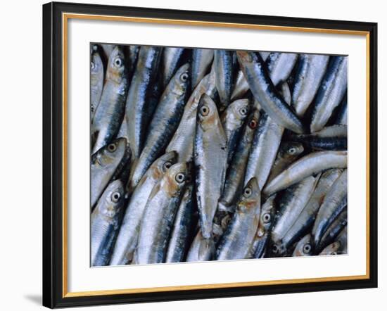 Fish in Fish Market, Istanbul, Turkey, Europe-Lee Frost-Framed Photographic Print